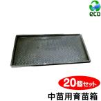 育苗箱 苗箱 苗 肥料 根 根離れ 通水性 種 たね タネ さし木 さし芽 挿し木 種まき / 中苗用育苗箱 20個セット 重ね用溝付き 580×280×28mm