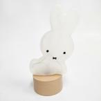 studio clip/miffy не использовался товар gala скользящий интерьер прочее прозрачный старт Dio зажим / Miffy 6-0204G 274494