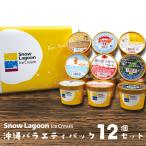 ギフト アイス 12個入 沖縄バラエティパック アイスクリーム スイーツ 沖縄 お土産 お菓子