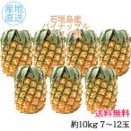  подарок Okinawa Ishigakijima производство ананас Гаваи вид 10kg 6~9 шар Okinawa . земля производство 