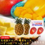  Ishigakijima производство сосна 2 шар .. манго 2 шар Okinawa фрукты подарок 