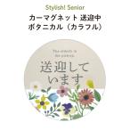  машина магнит встречи и проводы средний машина автограф машина модный уход уход за детьми . объект пожилые люди безопасность движение круглый siniabotanikaru( красочный )