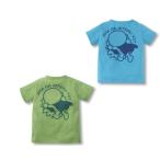 送料無料アンパンマン半袖ｔシャツ90cm 130cm 韓国子供服 春夏 メール便対応 Buyee Buyee Japanese Proxy Service Buy From Japan Bot Online