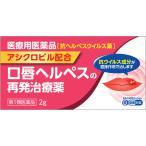 ヘルペス 市販薬 エプールAC 2g【第1類医薬品】※薬剤師からの問診メールに返信が必要です