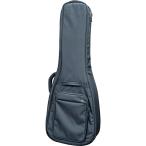 KIKUTANI GVB-30DE BLK [ электрогитара для двойной кейс ]