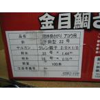 アコウさがり　100本