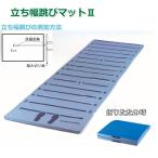 ( дом частного лица рассылка не возможно )EVERNEWeba новый школа физическая подготовка body сила измерение .. ширина .. измерение коврик II100×330×3cm EKJ099 ( бесплатная доставка )