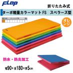  бесплатная доставка FLAP.. гимнастика коврик ta-po легкий цвет коврик FSsbela-z type складной 90×180×5cm orange F1473V юридическое лицо ограничение 