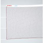  бесплатная доставка бадминтон Япония бадминтон ассоциация сертификация соответствие требованиям товар KANEYAkaneyaNBA бадминтон сеть N12 красный чай K-1451 юридическое лицо ограничение 