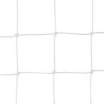 ( Sanwa физическая подготовка ) футзал рука школа физическая подготовка инструмент спортивный . футзал * рука гол двоякое применение сеть 2 листов 1 комплект белый угол глаз 10cm S-3127 ( бесплатная доставка )