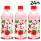 まろやかいちご&ミルク 500ml 24本 サンガリア ソフトドリンク いちごミルク