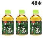 緑茶 280ml PET あなたの濃いお茶 48本 サンガリア『送料無料（一部地域除く）』
