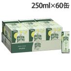ペリエ メゾンペリエ フォーエバー ライム 250ml 60缶 缶 炭酸水
