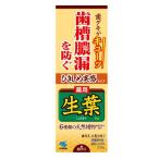 小林製薬 ひきしめ生葉 100g 歯磨き粉 デンタルケア オーラルケア 歯槽膿漏 口臭 薬用『医薬部外品』
