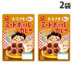石井食品 お子さまミートボールカ�