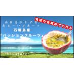  Ishigakijima производство [ маракуйя ]2 шар 
