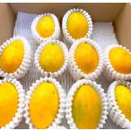  Ishigakijima производство [miz лимон ]1 шар 