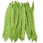  Ishigakijima производство [ удивительный jumbo ]