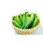  Ishigakijima производство [ абельмош ]