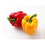  Ishigakijima производство [ паприка ]2 штук входит 