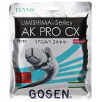 ゴーセン AK プロ CX 17 TS761 NA/ナチュ