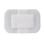 アルケア シルキーポア ドレッシング 40×60mm 1号 12008