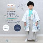  столица wakka в аренду "Семь, пять, три" простой одевание specification перо тканый hakama . лет мужчина . кимоно ансамбль комплект 5 лет . костюм ребенок мужчина стиль белый серый маленький цветок 