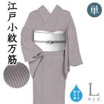 着物だいやす598■江戸小紋■単衣...