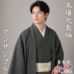 男物 本場 大島紬 アンサンブル 着物 羽織 ラベル付き 中古 正絹 袷 亀甲模様 黒色 身丈141.5cm 裄68.5cm きもの北條 A1366-1