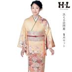 訪問着洗えるセット購入5点セットオ...