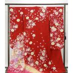 振袖 正絹 雪輪四季花模様 身丈167.5cm 裄丈66.5cm 振袖 美品 リサイクル 着物 e0970