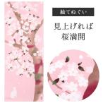  видеть вверх .. Sakura полный .. документ sama ......... гобелен сезон рисунок Yokohama .. традиция технология Sakura розовый белый кошка кошка мир современный интерьер стена 
