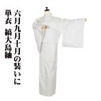 単衣 縞大島紬 正絹 オフホワイト 刺繍 カニ 鱗文 13号 Mサイズ ki30521 美品 夏着物 レディース シルク 6月9月10月シーズン 送料込み