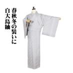 ショッピング送料込み 白大島紬 袷 正絹 ライトグレー 麻の葉 蚊絣 縦縞 Sサイズ ki31392 未使用品 レディース シルク ギフト カジュアル 送料込み