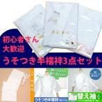 襦袢 うそつき 半襦袢 半襟付き 3点セット うそつき半襦袢 裾よけ 替え袖 初心者オススメ 着物 着付け小物 和服 小紋（メール便不可）