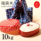 令和4年 米 10kg 5kg×2袋 お米 白米 福袋米 滋賀県産 送料無料  同一品種でのお届け