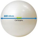CATERPY CF-009 фитнес мяч 65cm жемчужно-белый 