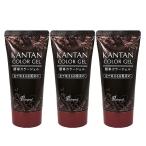 「納期約1〜2週間」《《《》》》プインプル化粧品 簡単カラージェル50g ×3個セット(4571296691938)