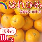 12月下旬入荷予定 愛媛産はれひめ10kg 訳あり