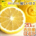  Ehime префектура производство. ..20kg. товар 