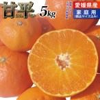 【販売中止】家庭用 甘平５ｋｇ 愛媛県産  かんぺい