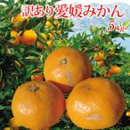  Ehime префектура производство есть перевод Ehime мандарин 5kg
