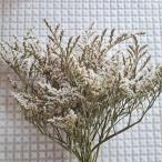  dry детали tata licca местного производства [ aroma воск саше материал свеча материал сухой цветок lease материал ] [ воскресенье праздничный день рассылка выходной ]