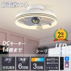 シーリングファンライト led 14畳 シーリングライト 薄型 軽量 DCモーター 北欧 調光調色 6段階風量調節 照明器具 天井照明 静音 常夜灯 寝室 新居 家庭用