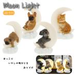 LED ライト ムーンライト 犬 猫 イヌ 