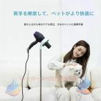  осушитель подставка осушитель держатель собака кошка домашнее животное эластичный тип класть type угол настройка возможность zonchi- "свободные руки" пустыми руками простой осушитель фиксация зеленый белый чёрный регулировка целый .