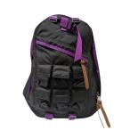 ショッピング比較 【値下げ】GREGORY×NEXUSVII DAYPACK PARASITE リュック ブラック×パープル (EC)