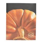 ショッピングロエベ ロエベ LOEWE Crafted World： Jonathan Anderson’s LOEWE　ジョナサンアンダーソン 大判モノグラフ　書籍