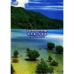 virtual trip запад таблица остров + бамбук . остров б/у DVD