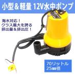 水中ポンプ 12V 小型＆軽量 海水対応 70リットル 25mm径 排水 送水###水中ポンプBL-2512###